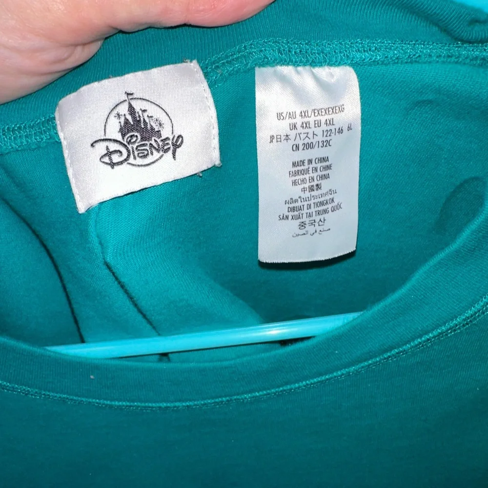 Disneyland Play in the Park Spirit Jersey - Picture 5 of 5